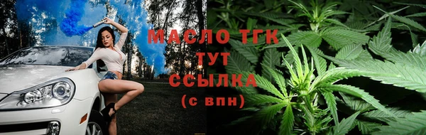 дмт Богородск