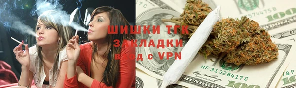 дмт Богородск